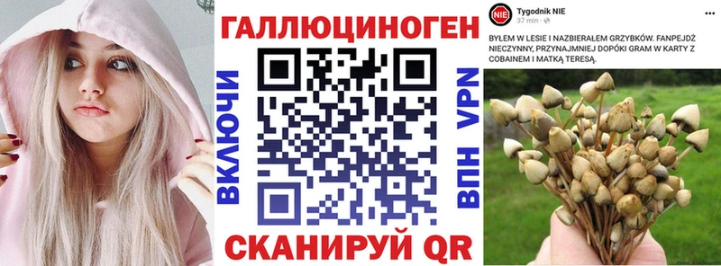 Псилоцибиновые грибы мухоморы  Тосно 